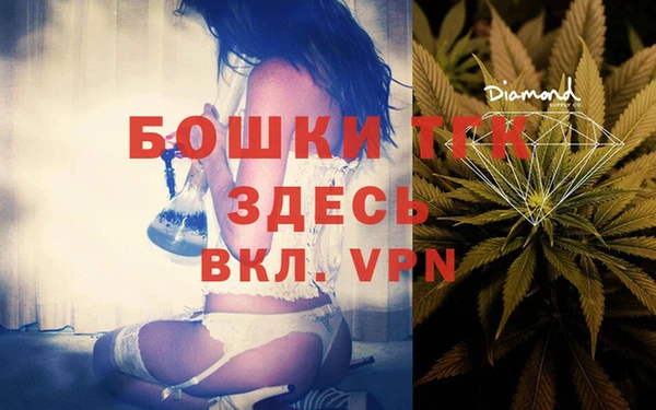 не бодяженный Заводоуковск