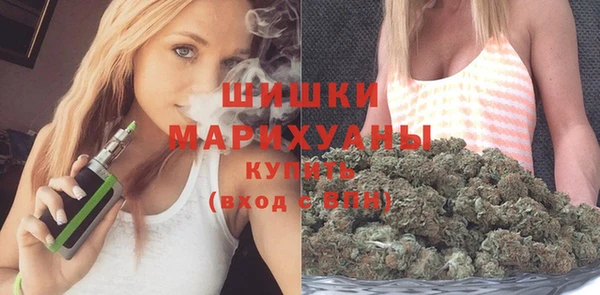 не бодяженный Заводоуковск