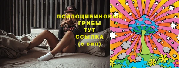 МДМА Заволжск